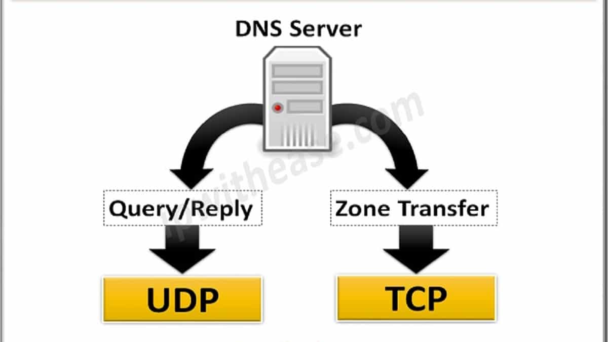 لماذا يستخدم DNS كلاً من TCP و UDP - Connect4Techs