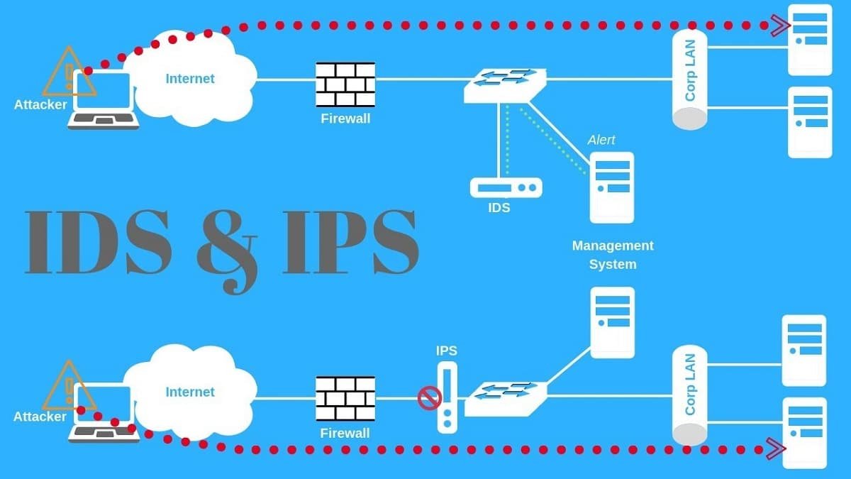 Усд 50 ips настройка