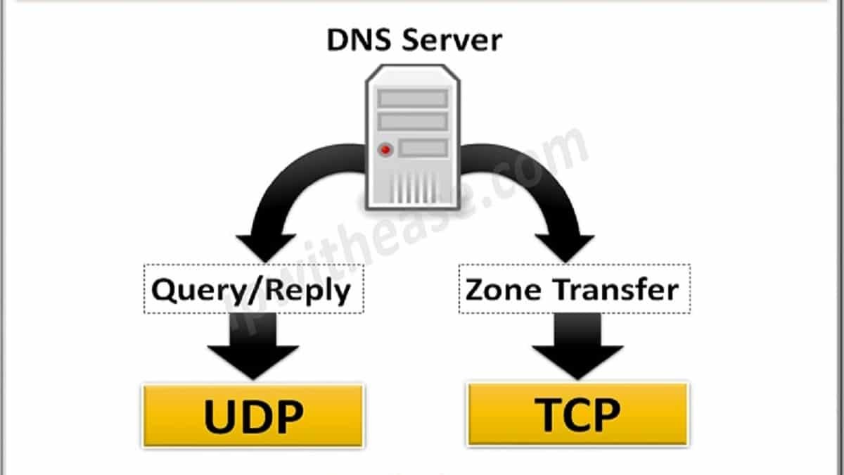 dns-tcp-udp