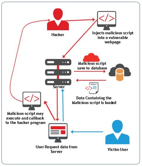 ماهي ثغرة XSS وما مدى خطورتها ؟