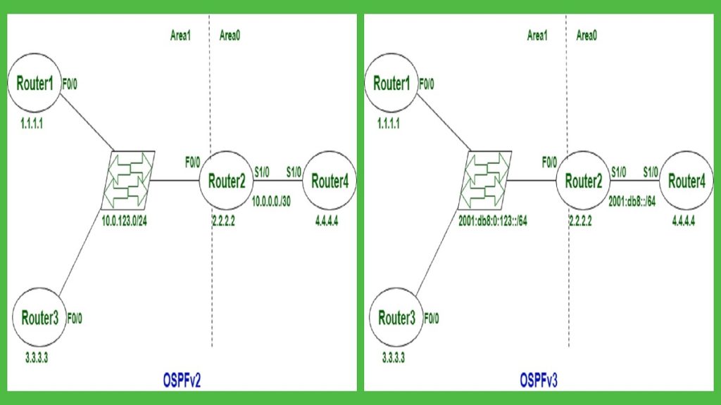 مقارنة بين OSPFv3 و OSPFv2