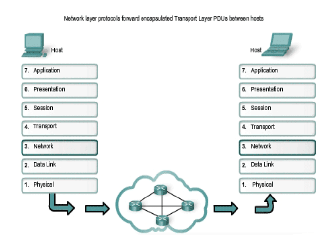 image-195 - Connect4Techs شرح نموذج OSI