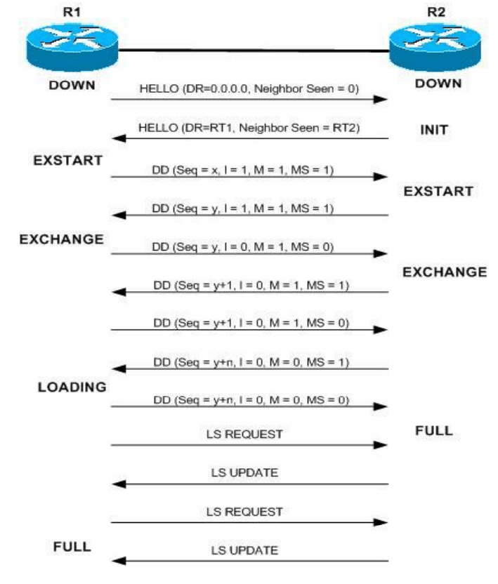 بناء العلاقات ما بين الجيران في بروتوكول OSPF