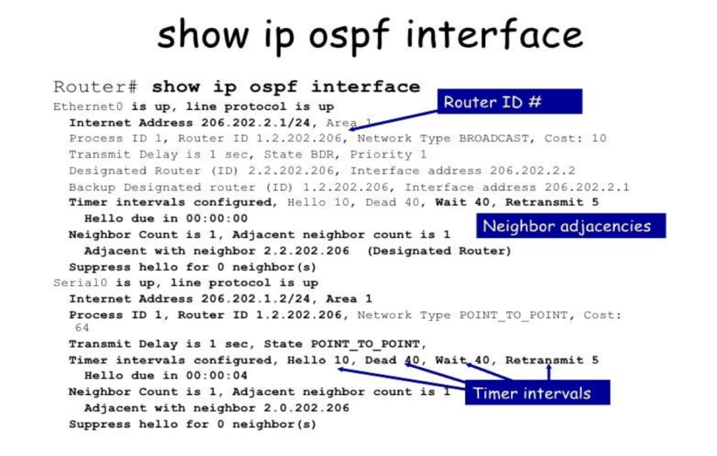 show ip ospf interface