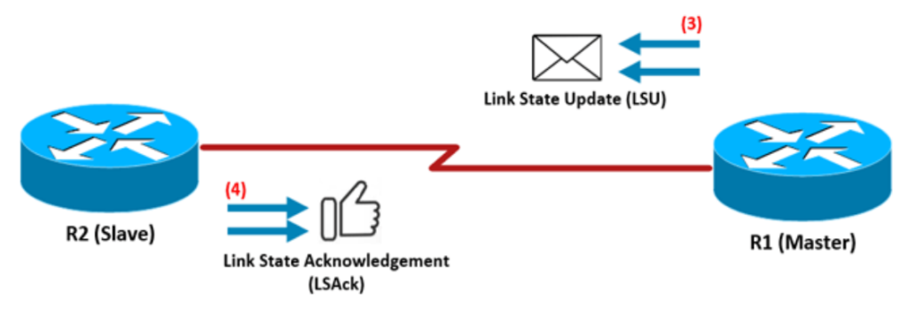 محتويات رسالة التاكيد على إستلام التحديثات LSAck في بروتوكول OSPF