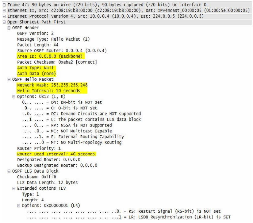 عملية نقل الحزم و هذه حزمة رسالة الترحيب الـ Hello Packets