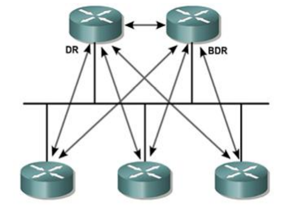 عملية إنتخاب DR و BDR