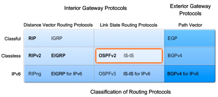 التوجيه الديناميكي Dynamic Protocols