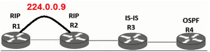 هذا النموذج يوضح عملية البث المباشر في الإصدار الثاني لبروتوكول الـ RIPv2
