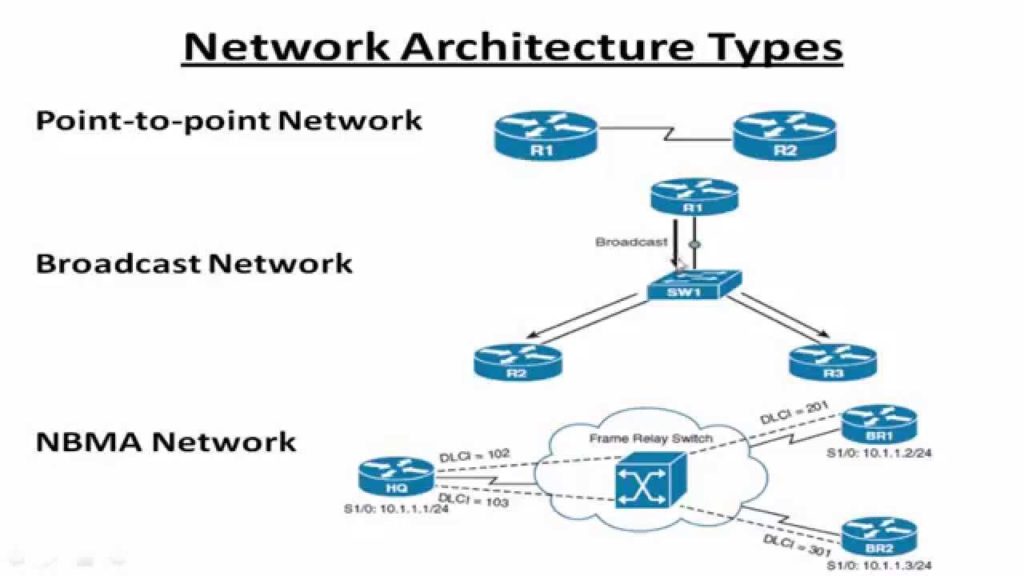 أنواع الشبكات في بروتوكول OSPF