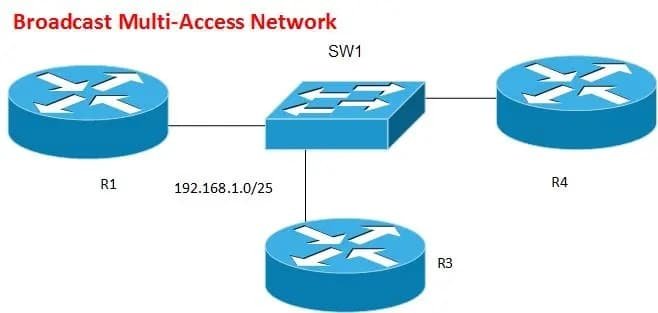 إعدادات بروتوكول OSPF على الشبكة السريعة