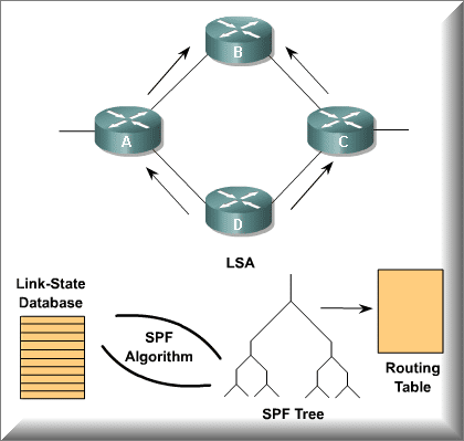 جداول OSPF - Connect4Techs جداول OSPF