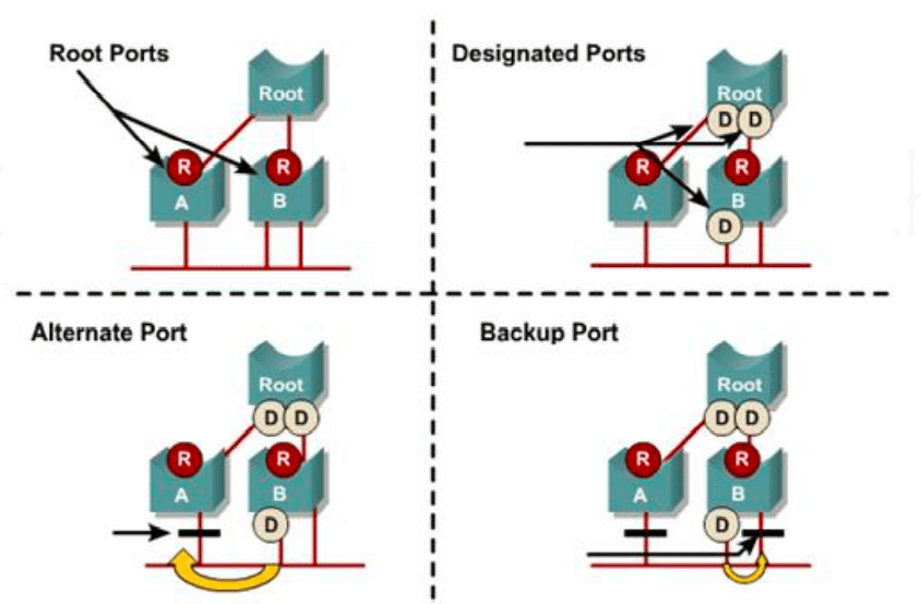 حالة المنافذ في بروتوكول الـ RSTP bridge port roles 