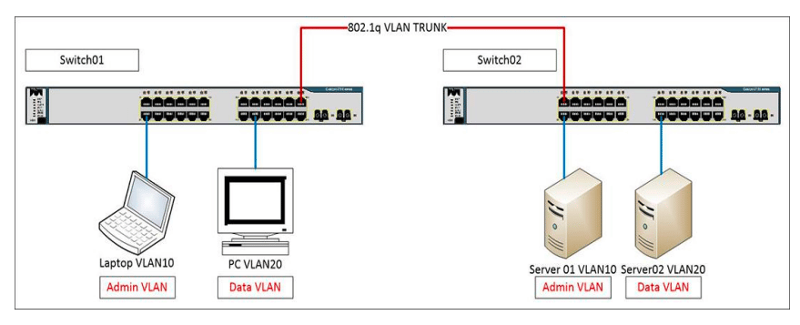 حالات منافذ السوتيش Switch Port Modes